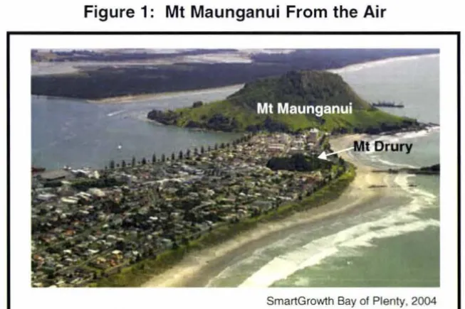 Figure 1: Mt Maunganui From the Air 