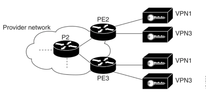 Figure 6-1 Example of a MPLS Black Hole Scenario