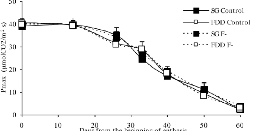 Fig. 2: Dynamics of LAI in all treatments. Values are means and bars  indicate +/- 1 SE (n=6)