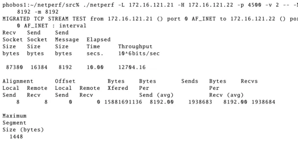 Figure 3.4: Netperf example output: TCP bulk transfer test
