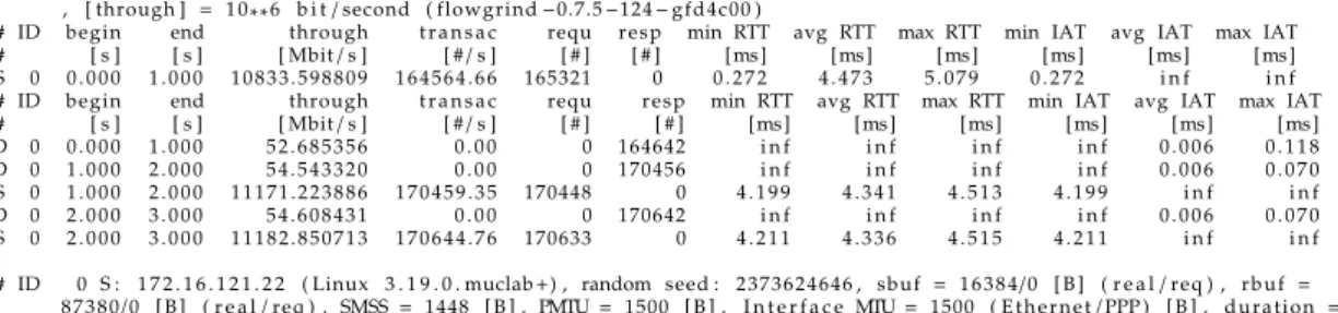 Figure 5.1: Flowgrind example output: Measurement without kernel output
