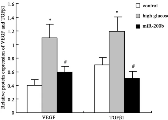 Figure 5. MiR-200b impact on VEGF and TGFβ1 protein expression in hRECs analysis *P < 0.05, compared with normal control; #P < 0.05, com-pared with high glucose group.