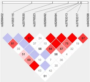 Figure 1. Linkage disequilibrium map of 9 SNPs within or near BTNL2.