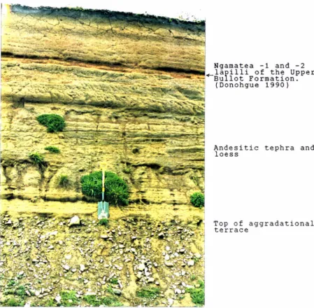 Fig 16 . Aggradational terrace of the Moawhango River is exposed in road cutting at T20/487925, in Zone 27
