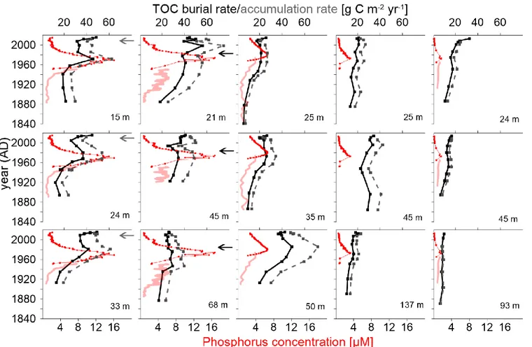 Figure 2: TOC burial rates (black solid lines), reconstructed TOC accumulation rates (dashed grey lines), measured water column  total P concentrations (red solid lines), and reconstructed water column total P concentrations (red-dotted lines) all plotted 