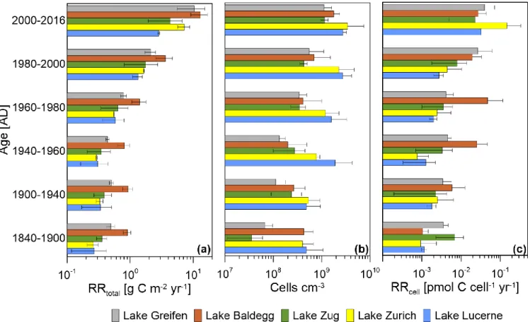 Figure 6:  Relationships between RR total , microbial abundance, and RR cell  and sediment age