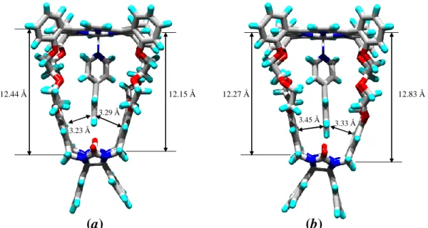 Figure  5  X-ray  structures  of  the  complexes  between  (a)  Zn1  and  P4,  and  (b)  Zn1  and  P5