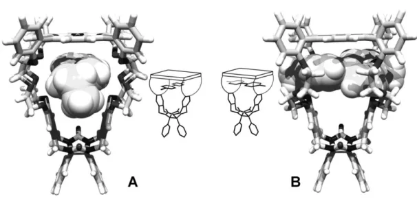 Figure  6  Computer-modeled  structures  and  cartoons  of  (A)  the  “pseudo-rotaxane  geometry”  of  the  complex between  H 2 1  and  V2  and (B) the  “suit(2)ane  geometry” of the  complex between  H 2 1 and  V1,  based on the  1 H, COSY and 2D-ROESY N