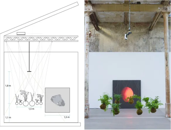 Fig. 1:  ​is a rose ​  set-up at Baumwollspinnerei Leipzig 2019/2020