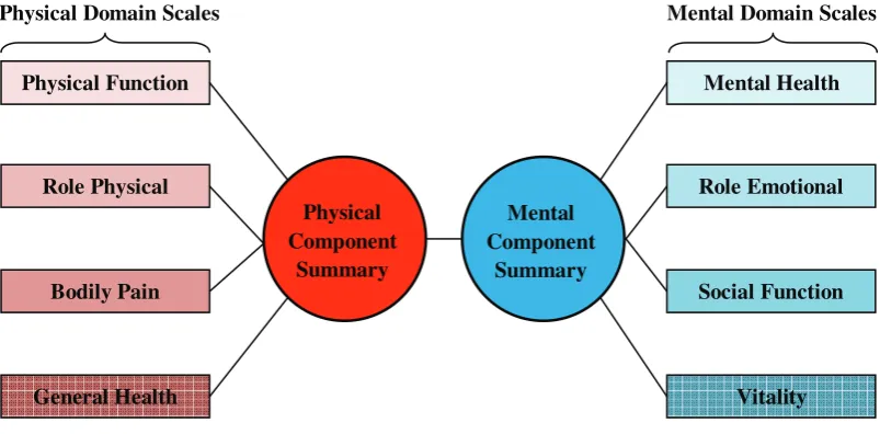 Figure 3.9:  SF-36 physical and mental component summary scales. Adapted from Ware and Gandek (1998) [21]  