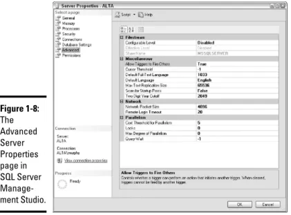 Figure 1-8: The Advanced Server Properties page in  SQL Server  Manage-ment Studio.