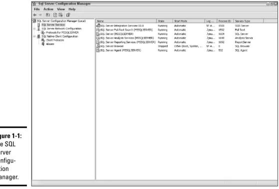 Figure 1-1 shows this tool in the context of managing services.
