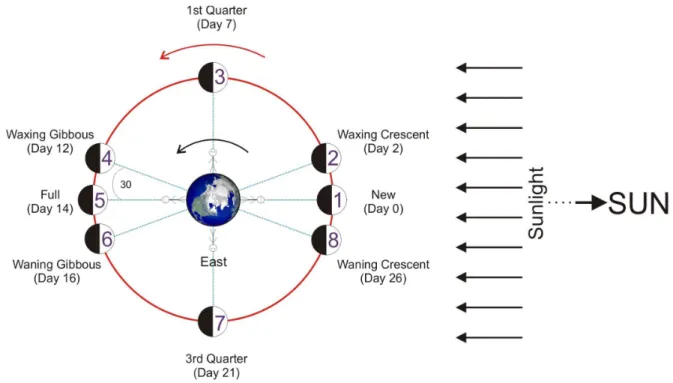 Figure 1: The geometry of the Earth, Moon and Sun over the course of one 28-day  lunar