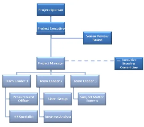 Figure 2: Sample of Project Team Organizational Chart 