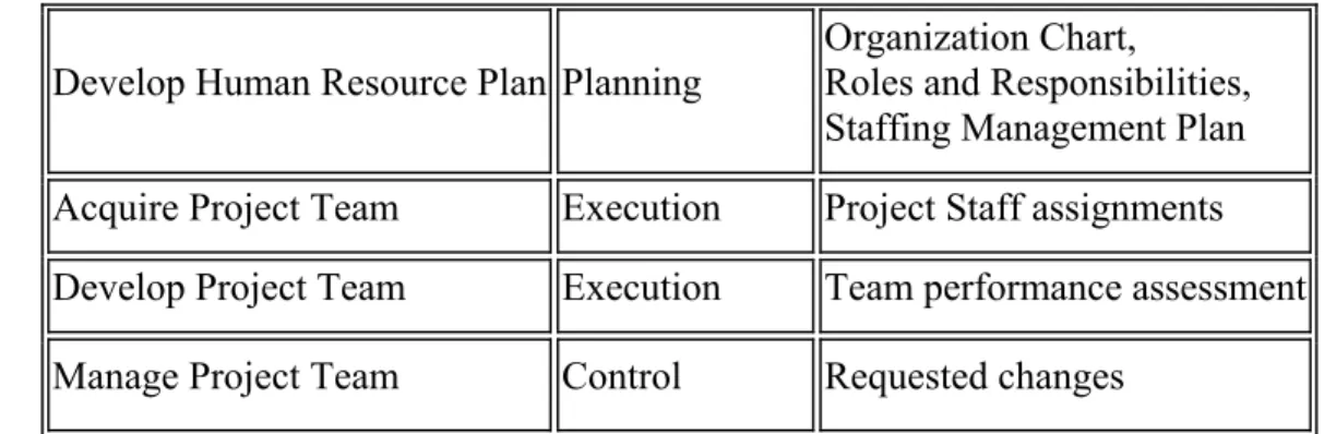 Figure 7 - Project Resource Management Process 
