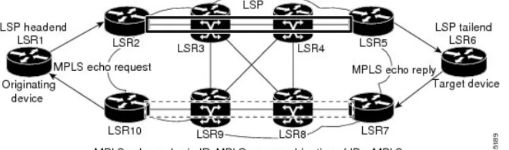 Figure 6: MPLS LSP Ping Echo Request and Echo Reply Paths