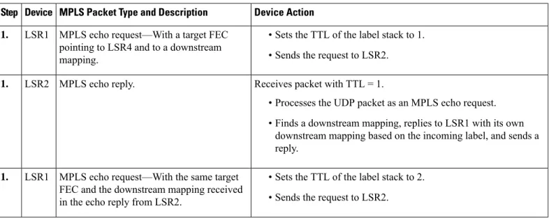 Table 5: MPLS LSP Traceroute Example