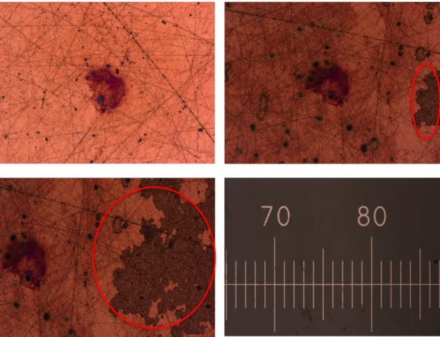 Figure 7: Unseeded cleaned copper surface (top left) and seeded copper surface (top  right &amp; bottom left) to determine seed presence in solution