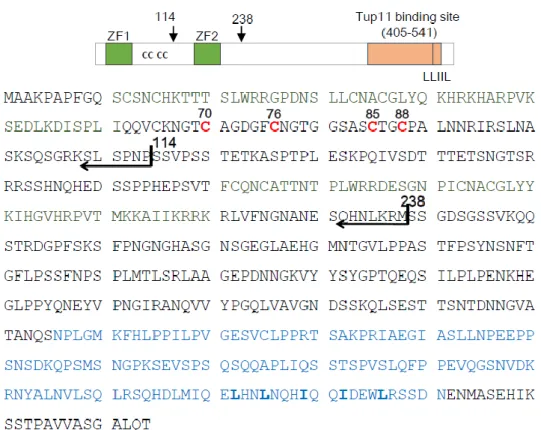 Fig II-1. Domain structure of Fep1 in S. pombe 