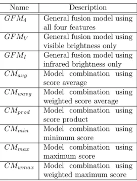 Figure 4: General fusion model of walking person from Seq-5: (a)-(d) Mean and variance of the four features we use for tracking, (e) Pixel importance weighting