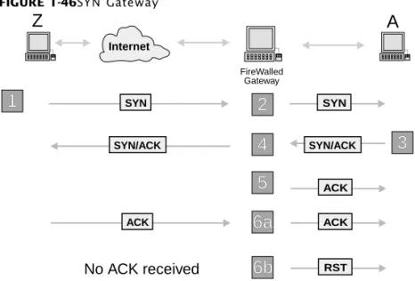 FIGURE 1-46SYN  Gateway