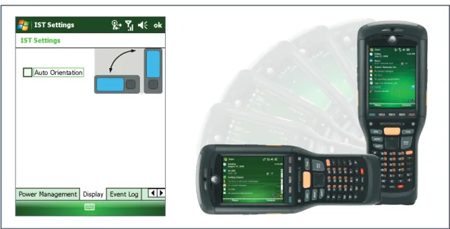 figure 2: iST Screen Orientation Tab