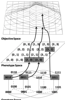 Figure 2.6: Example of Genotype, Phenotype and Objective Space Relationships