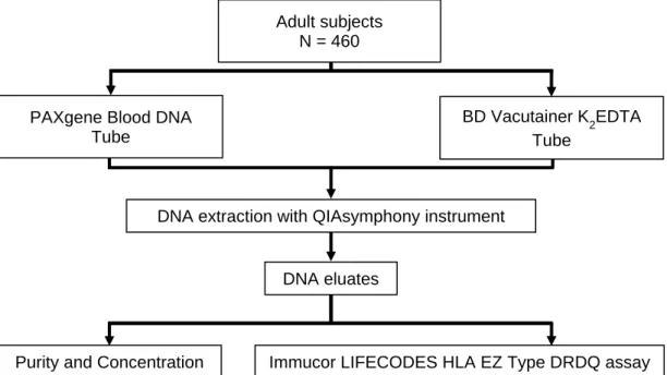 Figure 1: Study design of Study 1, “Quality, quantity, and suitability in molecular testing  of DNA from whole blood collected in the PAXgene Blood DNA Tube and extracted with  the QIAsymphony instrument 