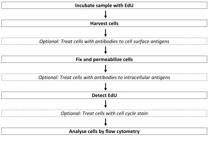Table 3: Amounts of DMSO or aqueous solution needed to dissolve EdU to a final concentration of 10 mM 