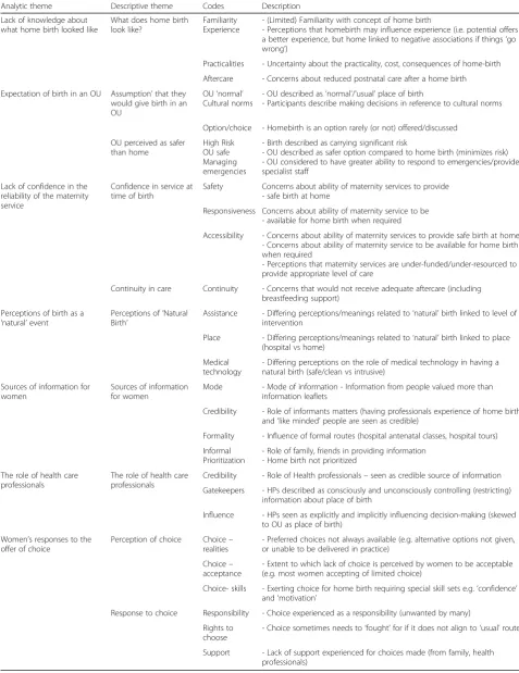 Table 1 Analysis Framework