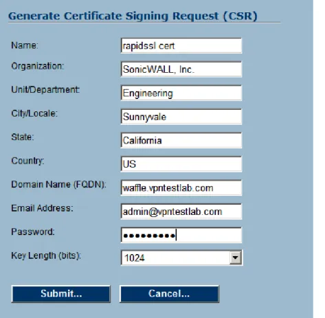 Figure 3 – Filling out the CSR before submitting to the CA 