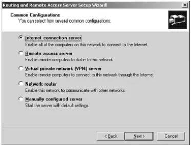 Figure 30.1 You can choose the type of RRAS server you want to configure.