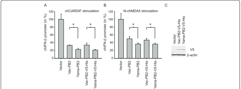 Figure 6 Effect of PB2 expression on the chicken RLR-specific IFN-b promoter activation