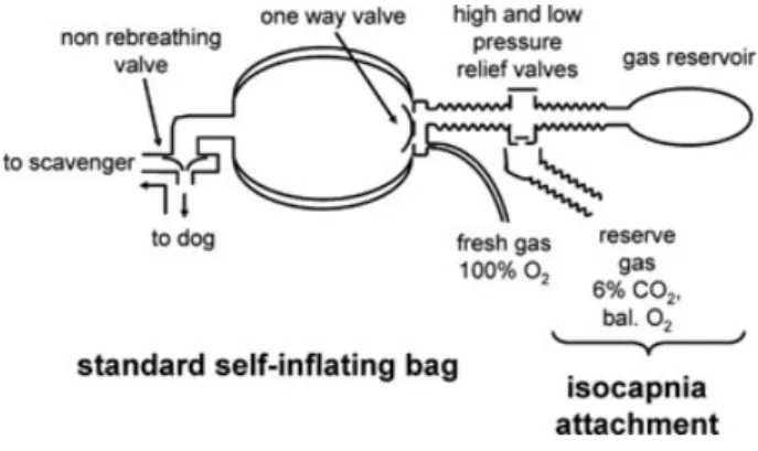 Figure 5. A self-inflating bag circuit suitable for spontaneous and controlled ventilation