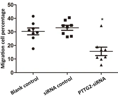 Figure 2. Relative cell viabilities of PTTG2-knock-down cells. The cell viability of blank control, siRNA control and PTTG2-siRNA groups was detected at 0 h post transfection and 72 h post transfection