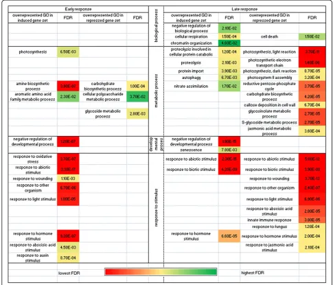 Figure 4 Overrepresented GO terms in induced and repressed gene sets in the early and late stages of infection