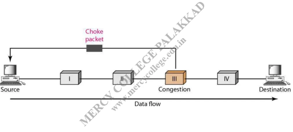 Figure 24.7 Choke packet