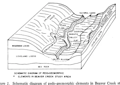 Figure  2.  Schematic  diagram  of  pedo-geomorphic  elements  in  Beaver  Creek  study  area