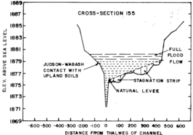 Figure  3.  Hypothetical  channel  and  floodplain  conveyance  system. 