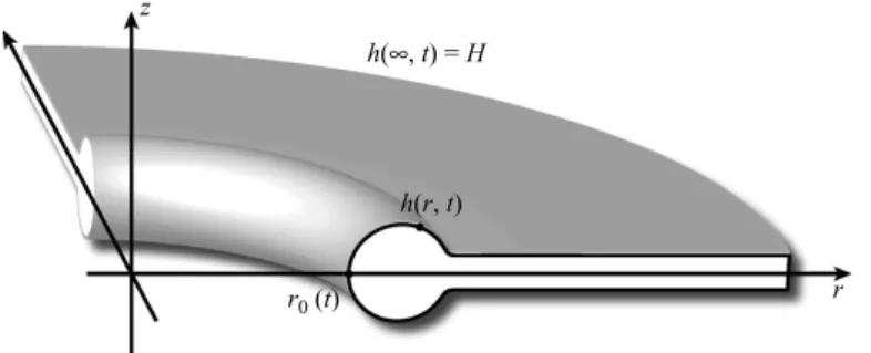 Figure 8. Circular sheet geometry. A circular hole expands on a ﬂat ﬂuid sheet owing to the radial surface tension force that acts on its toroidal edge.