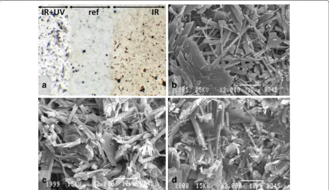 Fig. 1 a surface photo of a gypsum-charcoal technical sample irradiated with 1064 nm (10 pulses at FIR = 1.5 J/cm2) and a combination of 1064 nm and 355 nm (10 pulses at FIR = 1.5 J/cm2 and FUV = 0.9 J/cm2)