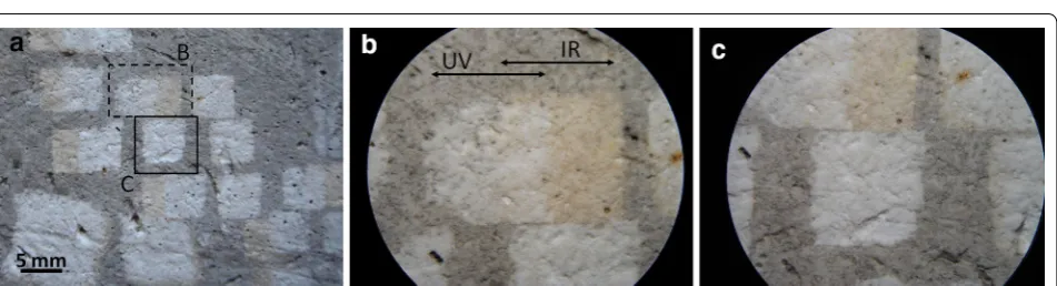 Fig. 6 a Series of 1064 nm (lower line) and 355 nm (upper line) of spot irradiation tests to remove dark over-layers from plaster (1 pulse at various F), b Series of spot irradiation tests using the two laser beams simultaneously (1 pulse at various FIR/FUV ratios)