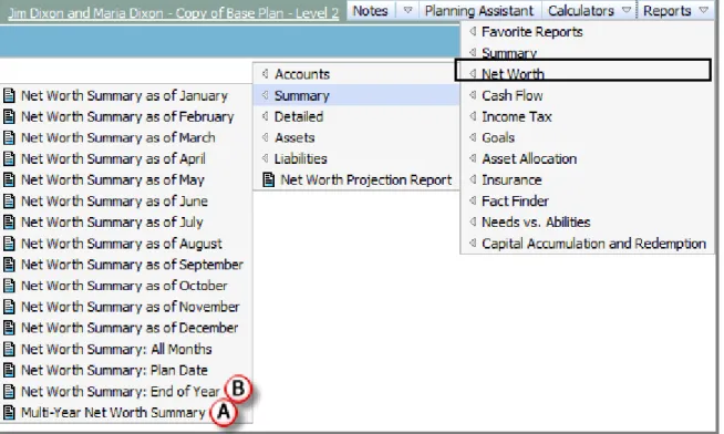Figure 12: Reports menu – Net Worth – Summary (showing list of available reports)
