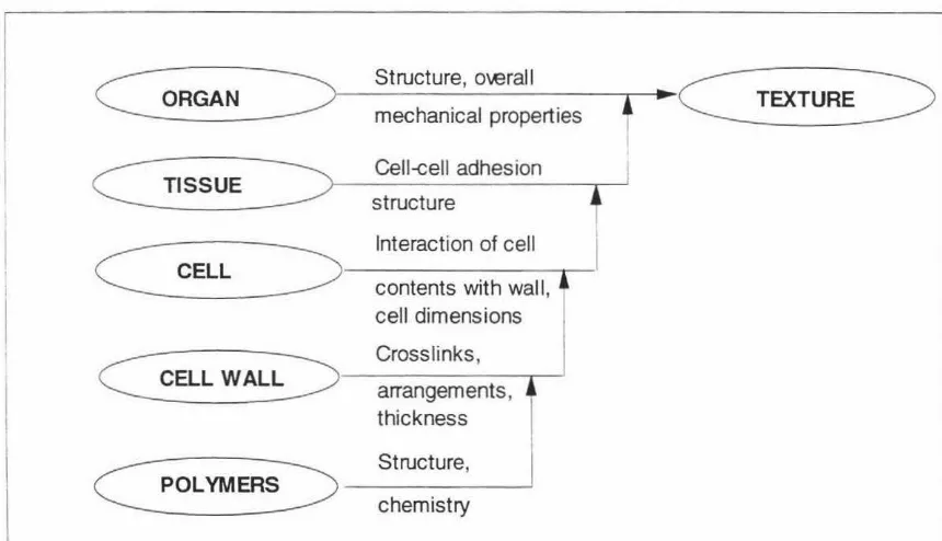 Figure 2-1 Schematic representation of the levels of structure that contribute to the 