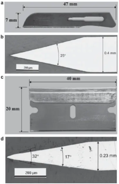 Figure 2: Blades used in McCarthy (2007) experiments.  A) scalpel blade, B) scalpel blade cross section, C) razor blade, D) Razor blade cross section