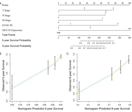 Figure 3. Nomogram for predicting 5- and 8-year overall survival in patients with ccRCC
