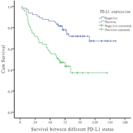 Figure 2. The overall survival of the whole population.