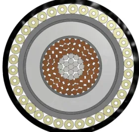Figure 1: Cross section of the deep-water DEH pig- pig-gyback cable.