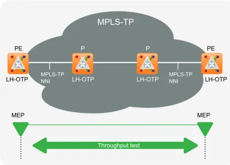 Figure 14: OAM capabilities shown for a performance management throughput test infrastructure