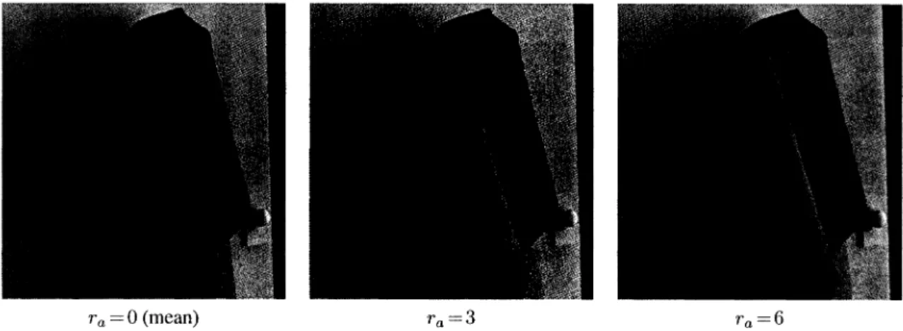 Figure 9: Reduced radiance transfer illuminations for an arbitrary cloth pose illustrate improving approximations as the rank r a  is increased.